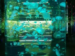 -石家庄海洋公园