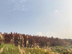-金海湾滨江公园