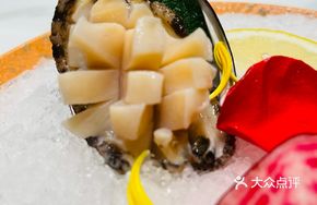 Fresh Five-Head Abalone