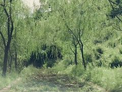-仙人峪