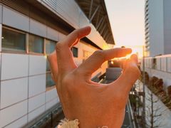 -台场海滨公园船码头