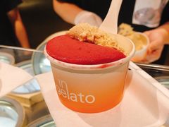 荔枝树莓洛神花-Dip in Gelato(富民路店)