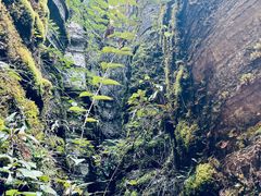 -梭布垭石林景区