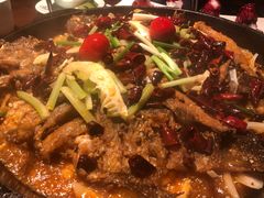 -老板恋上鱼(高新万达店)