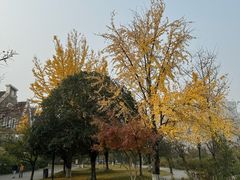 -成都南湖公园