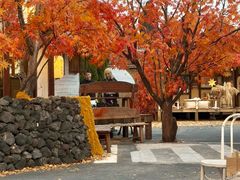 -Blue Concept Cafe&Farm·關於藍