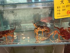 水产区-天天渔港(杏林街店)