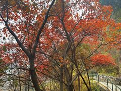 -京东石林峡风景区