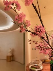 -依霖 艺术 SPA