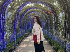 -沈阳植物园
