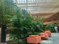 -北京望京凯悦酒店The Lounge大堂酒廊