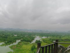 -会仙湿地