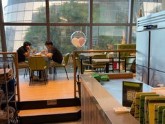 -油梨树AVOCADO TREE(望京店)
