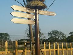 公园内-上海长兴岛郊野公园