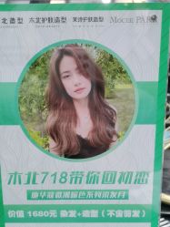 -木北造型