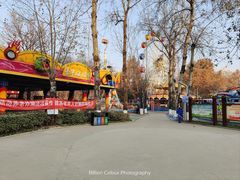 -西安市长乐公园