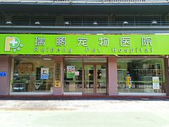 -瑞鹏宠物医院·夜间急症·心超·猫科(祖庙分店)