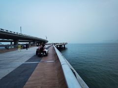 -演武大桥观景平台