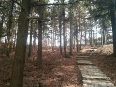 -东白山