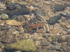 -碓臼峪自然风景区