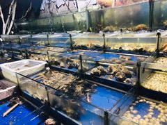 水产区-舟山小海鲜大排档(稻香新村店)