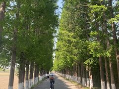 -嘉北郊野公园