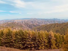 -苏木山森林公园