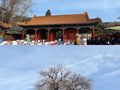 -八大处公园