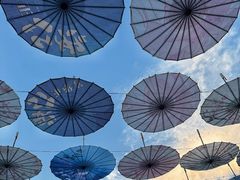 -成都安仁福朋喜来登酒店