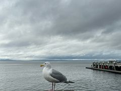-西雅图水族馆