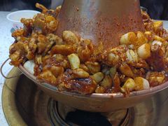 -老佛爷铜炉蛙锅(挂绿店)