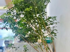 -稀物集咖啡(徽州大道店)