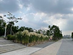 -上海山野camping·户外天幕烧烤·团建拓展营地