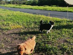 -隐炉和牛烧肉店(群力店)