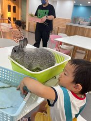 -Moni星球萌宠·小马宝莉·灵蛇·高端高阶全萌宠互动体验俱乐部(红豆国际广场店)