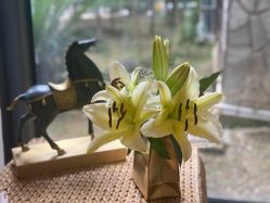 -JC·YOGA静禅瑜伽普拉提