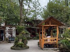 -青城甲(青城山店)