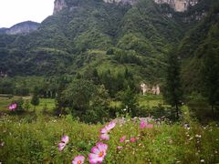 -鹿院坪生态旅游景区