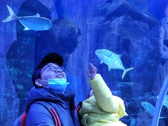 -华夏文旅海洋公园