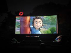 -枫花园汽车电影院(朝阳公园店)