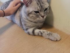 -H立方实景剧情密室(天河旗舰店)