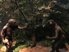 -北京周口店北京人遗址博物馆