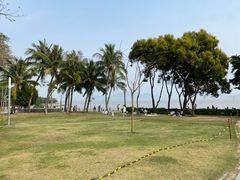 -深圳湾公园(南山区)