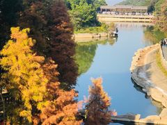 -广州市帽峰山景区