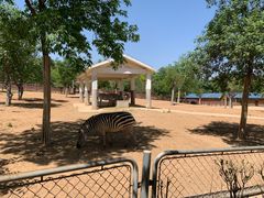 -石家庄市动物园