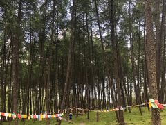 -硗碛藏寨·神木垒景区