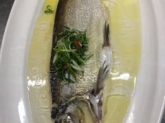 -常州环球恐龙城维景国际大酒店