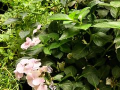 -BOCATA 西班牙餐厅(三里屯店)