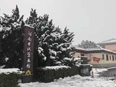 -洛阳古墓博物馆