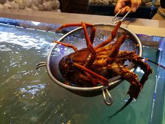 -同乐酒楼(皇后镇店)